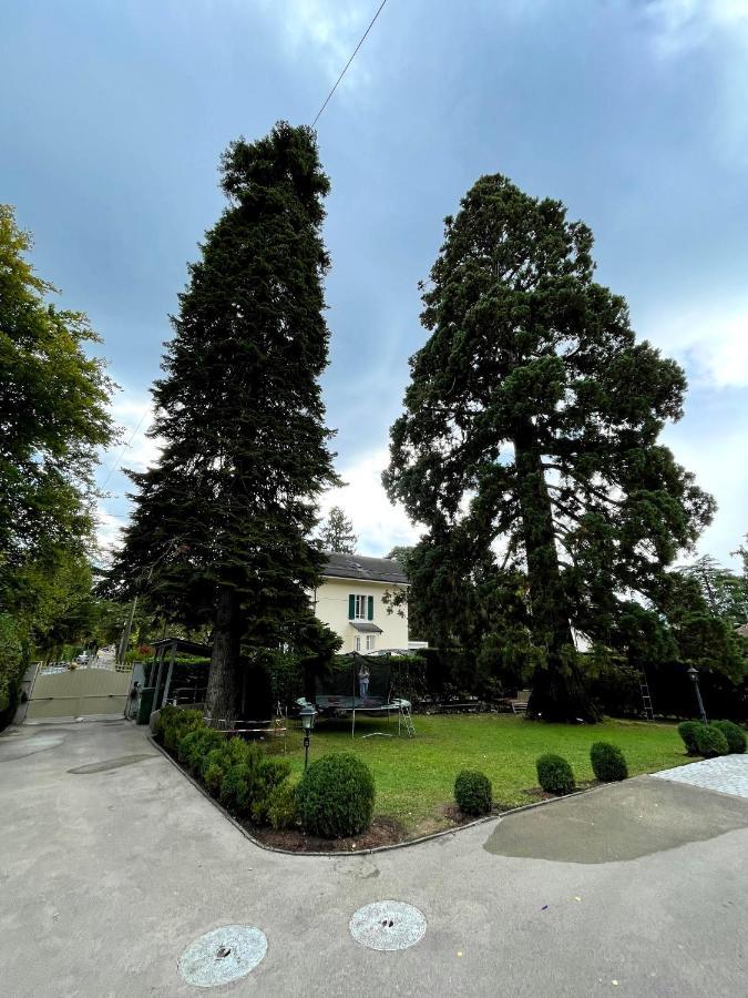 Residence Mont-Blanc Ženeva Exteriér fotografie